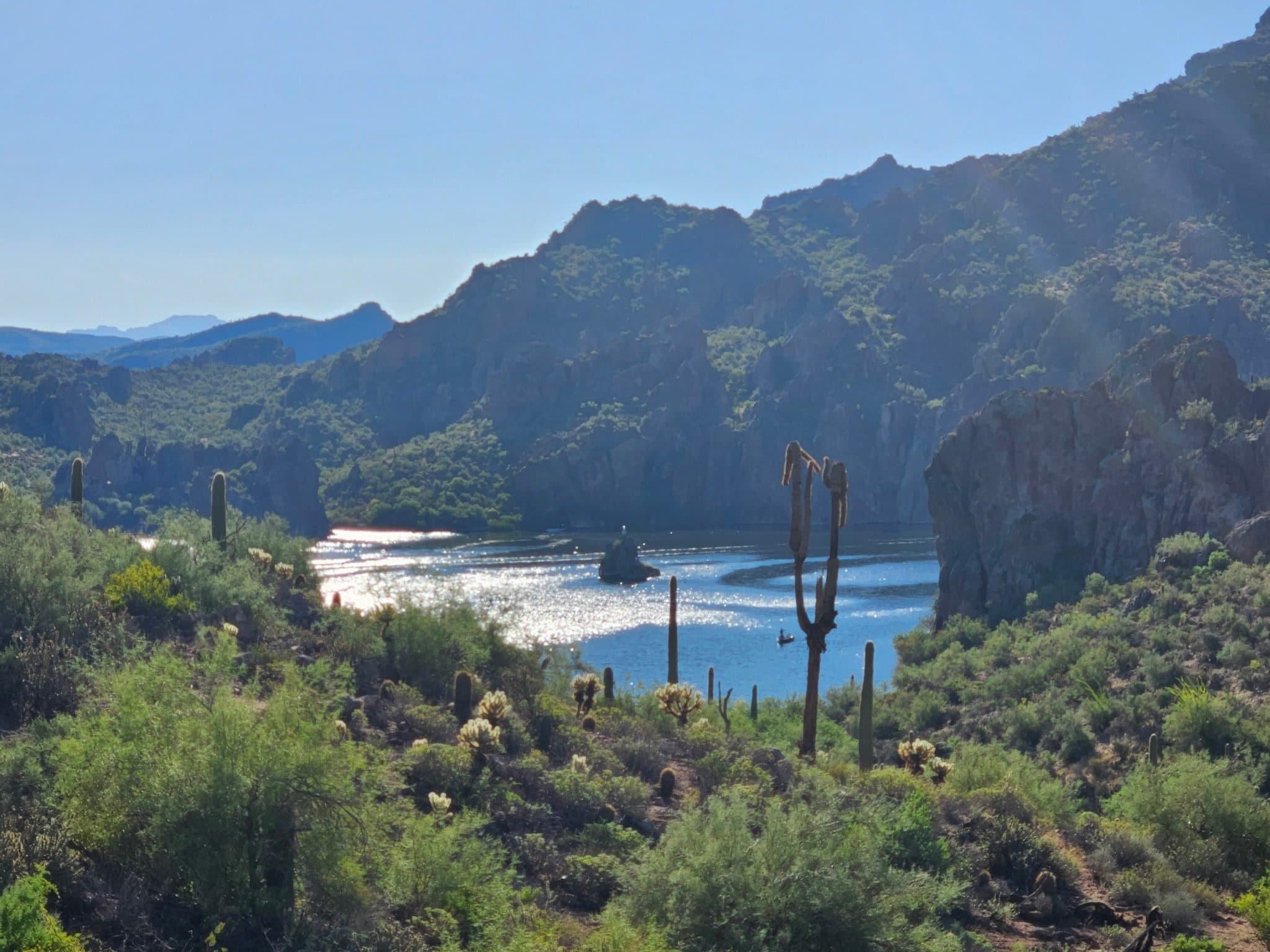 Saguaro Lake glittering between rocky canyon walls, seen past saguaros and cholla on the Butcher Jones Trail