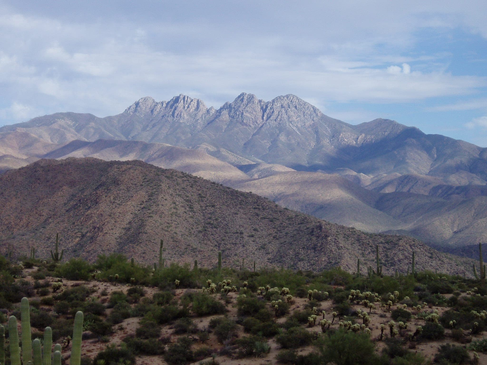 The four summits of Four Peaks above saguaros and cholla in the desert foothills