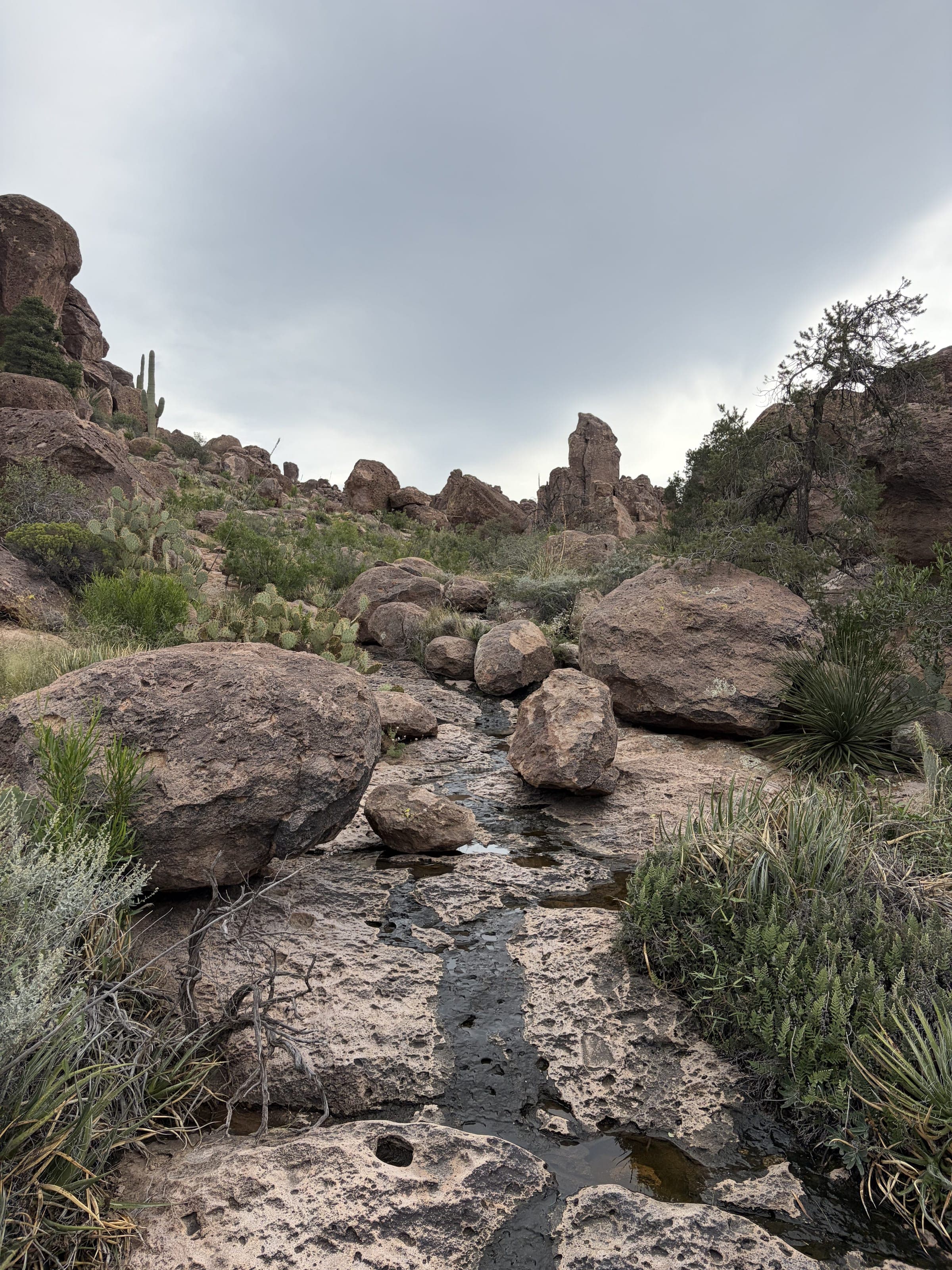 Water trickling over pitted rock between boulders, prickly pear and rock spires in the Superstitions