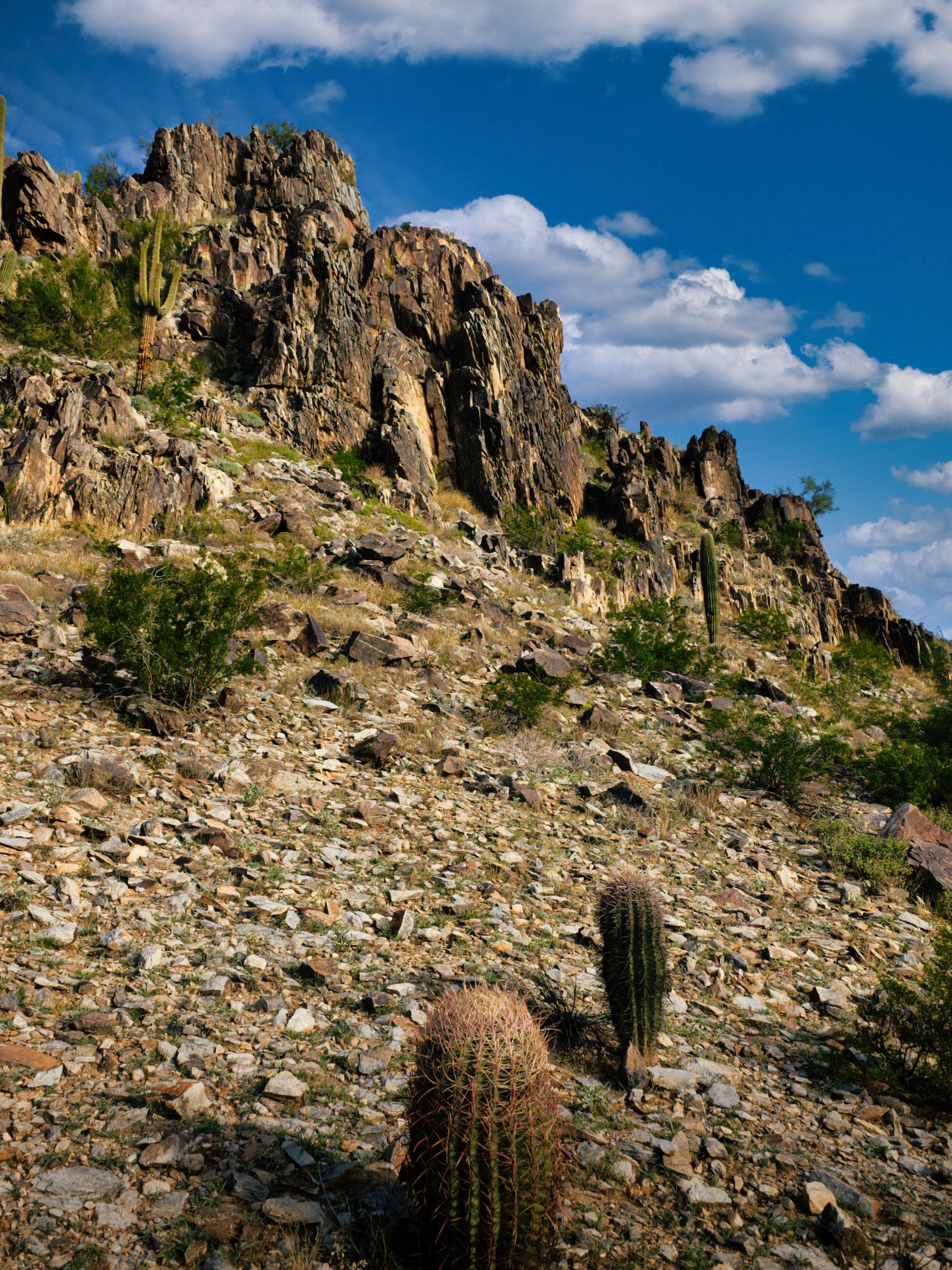 Dark, jagged rock crags on Piestewa Peak above a rocky slope with barrel cactus and saguaros