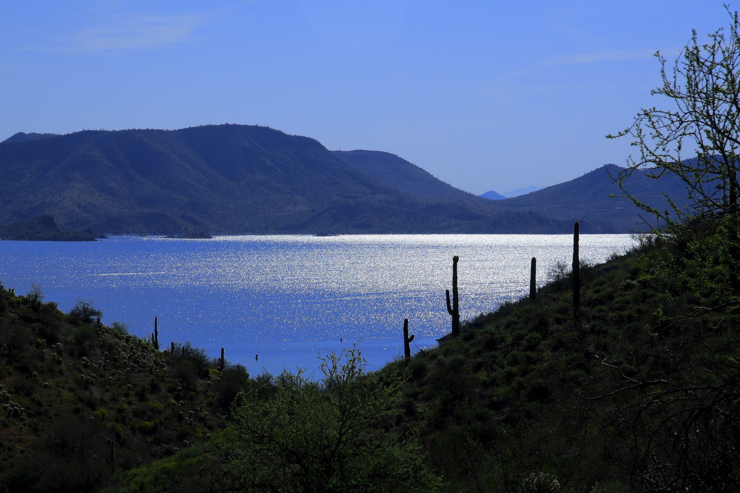 Lake Pleasant shining between dark hills, seen from the Pipeline Canyon Trail with saguaros on the slope