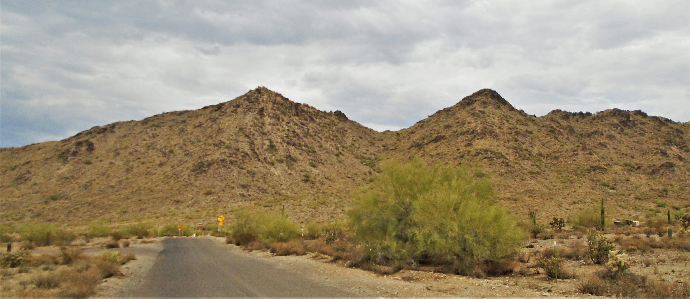 Two brushy peaks of the San Tan Mountains above a paved road and palo verde trees